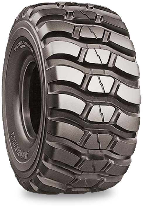 Scheda Variante Pneumatico &rsaquo; Marca: Bridgestone &rsaquo; Modello: VLT